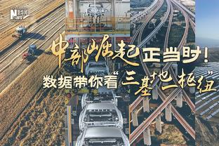 本赛季意甲阿根廷球员射手榜：劳塔罗20球领跑，苏莱10球次席